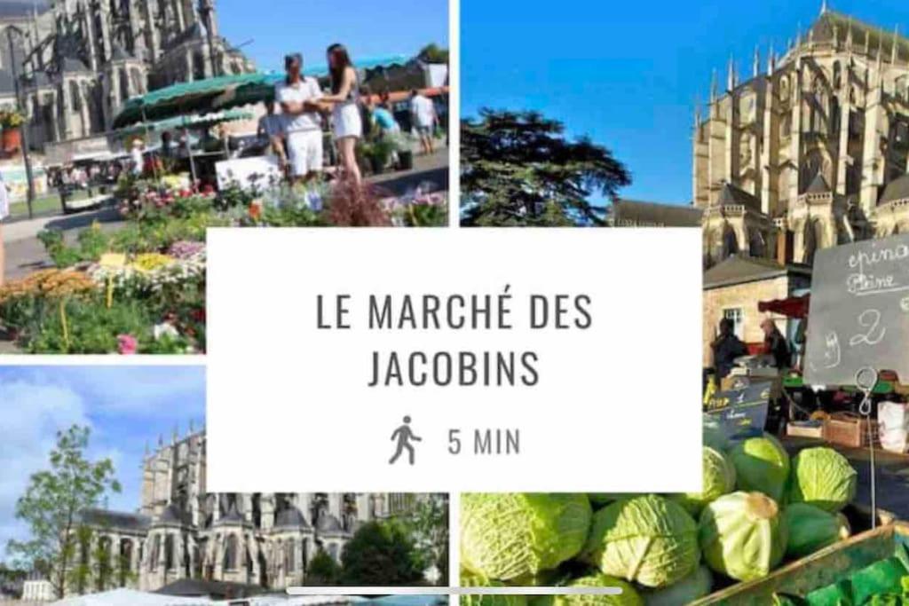 Appartements De Standing Centre Ville, Gare, Jardin,Terrasse Le Mans Exterior foto